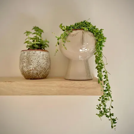 בית נופש 'dune'