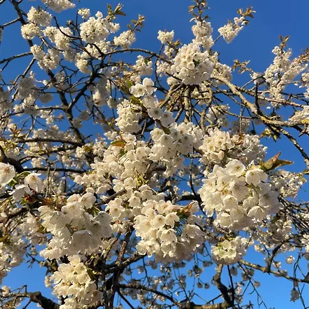 'dune' בית נופש דה פאן