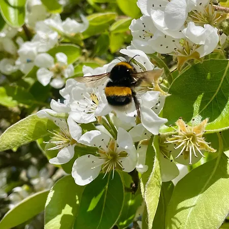 'dune' * דה פאן